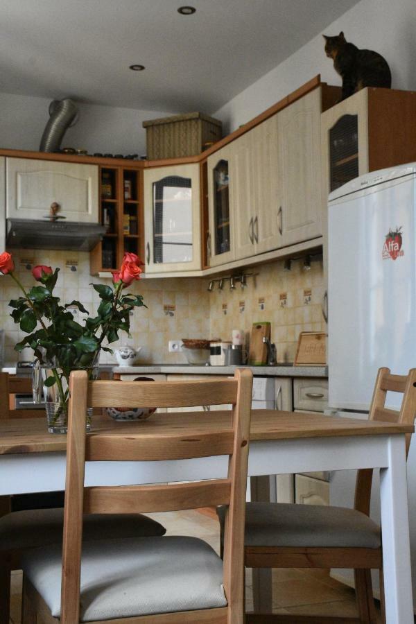 Apartament Rynek 11B Opole Esterno foto